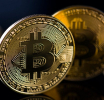 Cotation du Bitcoin : évolution de la plus célèbre monnaie virtuelle